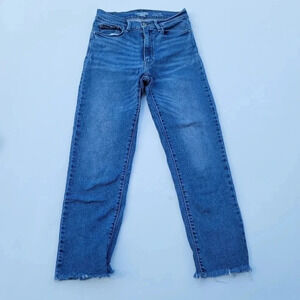 Denizen Levi's High-Rise Vintage Slim Blue Jean Denim Pants Size 5 (w. 27)